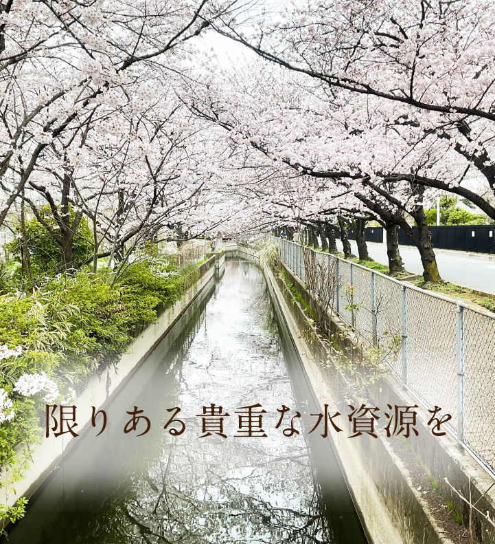 見沼代用水土地改良区